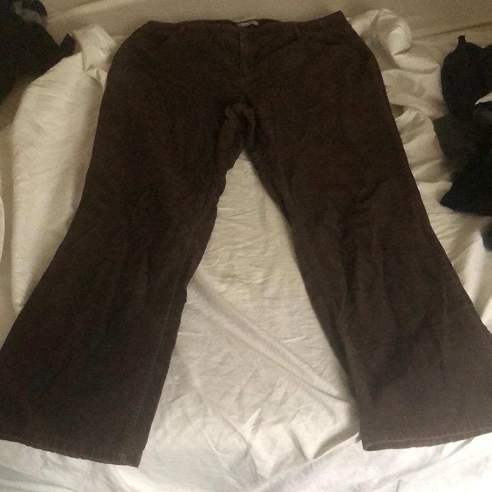 Brown women pants
